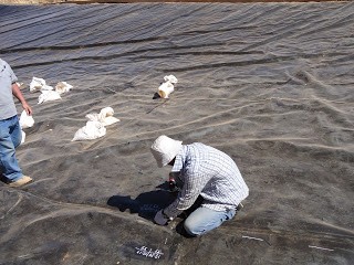 Geomembrane Offers Lining Solution: Ain El Naanaa Irrigation Lake in Lebanon