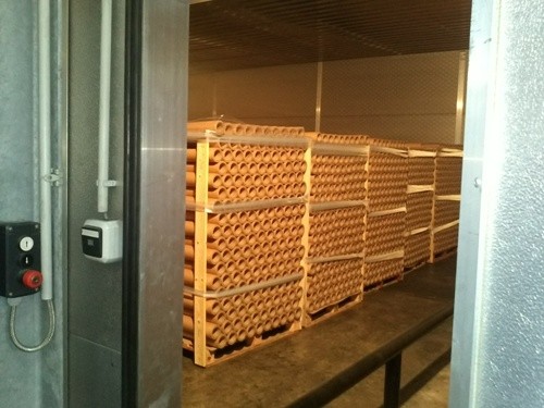 New Paper Core Dryer Machine Improves Product Quality & Cuts Delivery Time