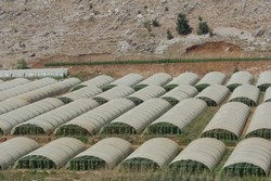Masterpak to Display Horticultural & Agricultural PE Films at FRUIT LOGISTICA 2013