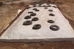 Masterpak to Display Horticultural & Agricultural PE Films at FRUIT LOGISTICA 2013