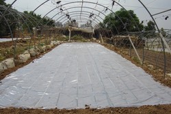 Masterpak to Display Horticultural & Agricultural PE Films at FRUIT LOGISTICA 2013