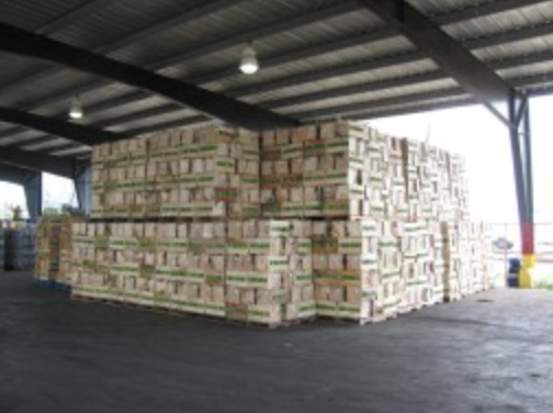 Global Green USA Releases Blog about ‘Follow that Box’ Tour to South Florida