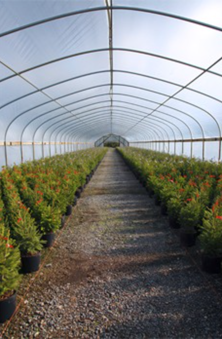 Masterpak to Share Key Success Factors at AMI Agricultural Film 2013