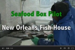 Global Green USA Releases Video About Wax-Free Box Trials with New Orleans Fish House