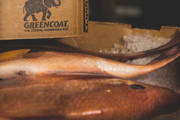 Interstate Container to Launch Greencoat® ICE Seafood Boxes at PACK EXPO 2013